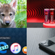 Clockwise from top left: Christina Hansen Wheat, Gizmodo, Alex Cranz and Alex Cranz.
